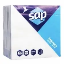 SAP 4833008101174 | Kagyz Salfetka 100 sany 24x24 sm Köpçülikleýin Gaplama