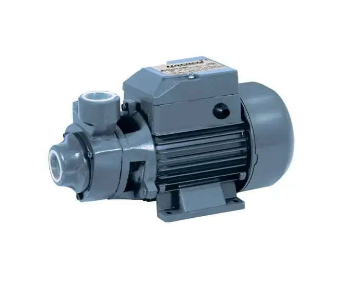 VGV Mini 60 | Basyş Nasosy 0,37 kW 35 l/min