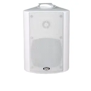 ITC T776A | Wall Speaker Double White