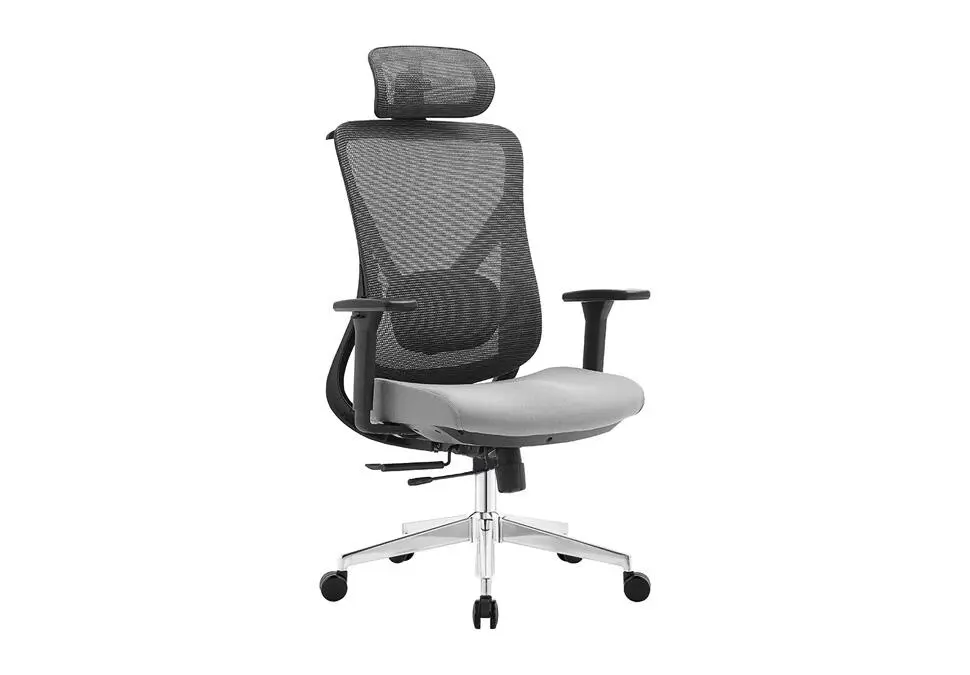 NOEL CHNOPARHGRY | Ofis Oturgyjy Mesh Çal Başlykly