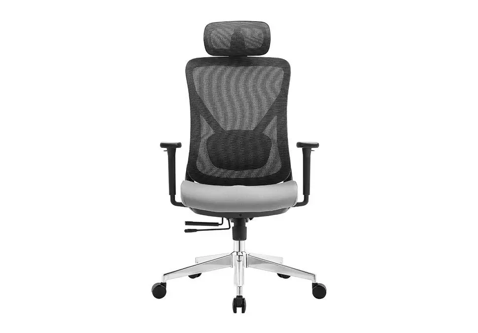 NOEL CHNOPARHGRY | Ofis Oturgyjy Mesh Çal Başlykly