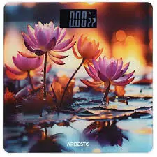 Ardesto SCB-965 | Senagat Agram Ölçegi 5-150 kg Takyk