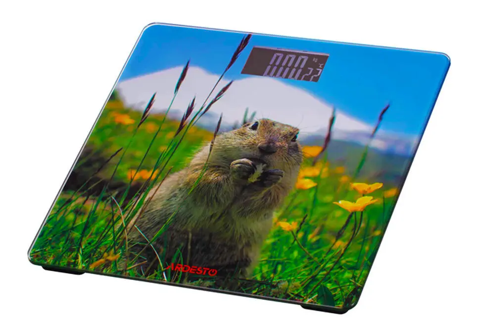 ARDESTO SCB-965 | Elektron agram ölçegi 5-150 kg marmot platforma