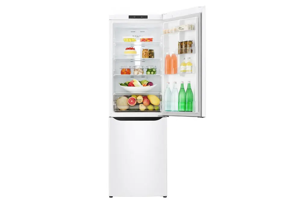 LG GA-B419SQJL | Sowadyjy 302L Inwertor 2 Gaply Ak