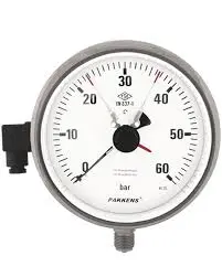 Pakkens 1001001106 | Manometr Ø100mm G1/2"B 0-6 bar/psi Gliserin