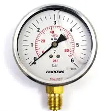 Pakkens 1601001106 | Manometer Ø160mm Glycerin-Filled 0/6 bar-psi