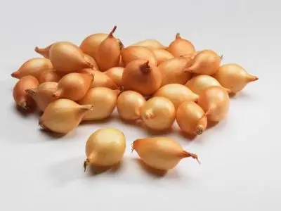 Soğan (kiçi)