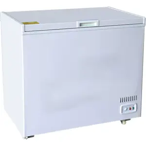Oscar 300L | Freezer 300L Capacity