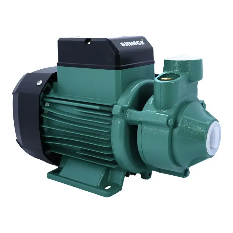 SHIMGE QB-80G1 | Suw Nasosy 0.75kW