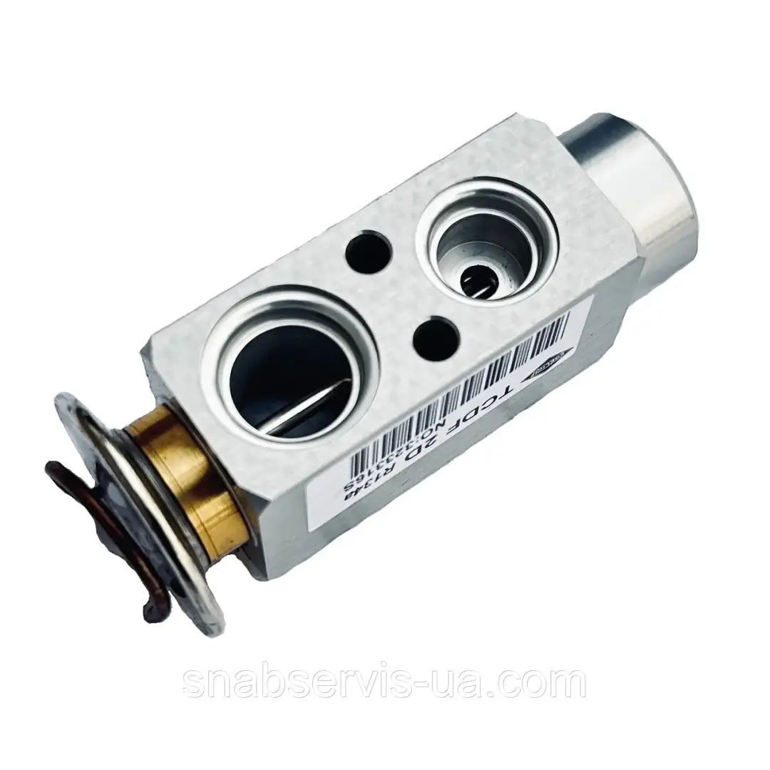 DENSO DVE99205 | Клапан расширительный для кондиционера MAN, ОЕМ качество