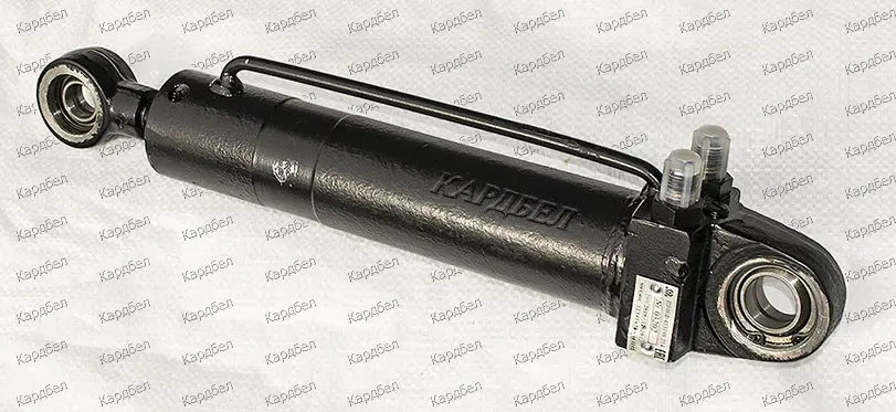 SHNKF SHNKF453198.214 | Senagat üçin takyk gidrosilindr