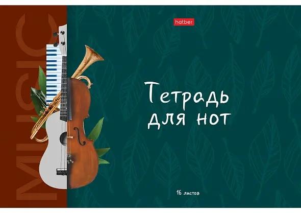 16ТдН4В 31715 | Music Notebook A4 16 Sheets Reference Info