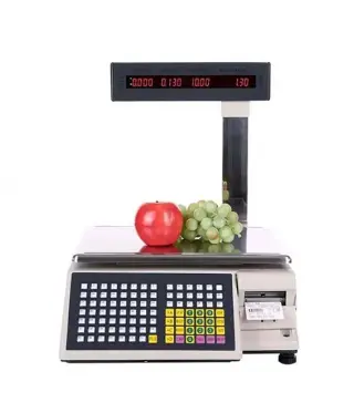 TEREZI TM-AB SAP196 | Label Printing Scale 30kg Integrated Printer