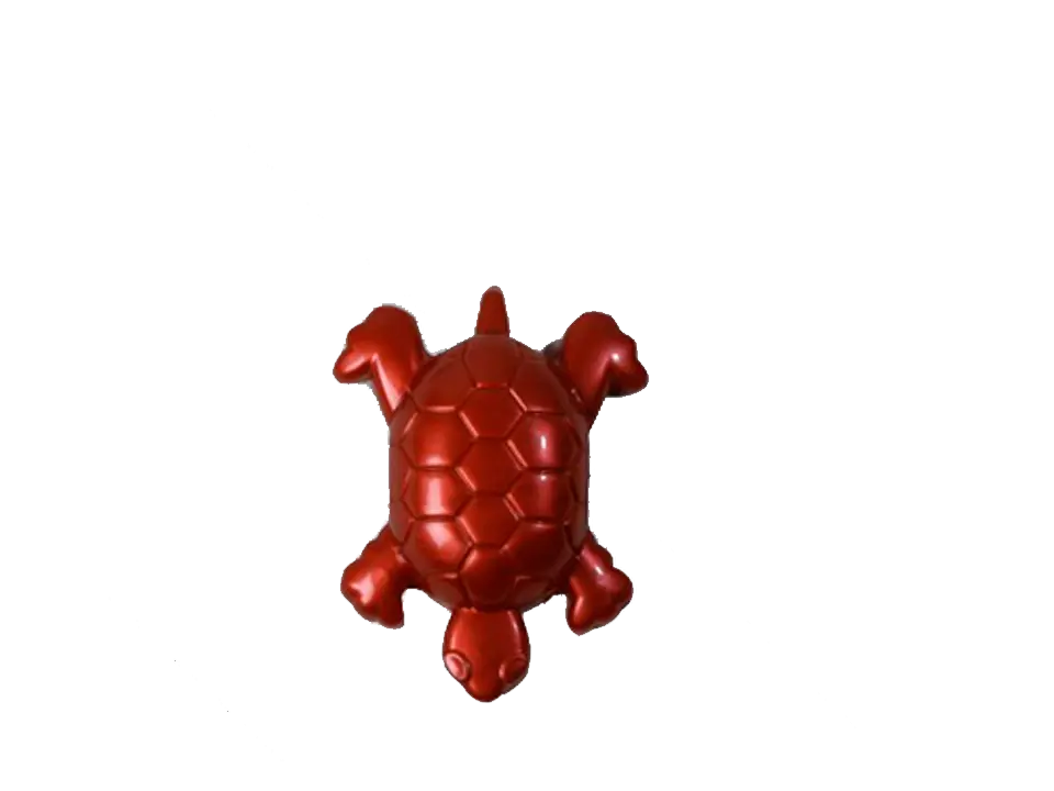 Turtle Toy