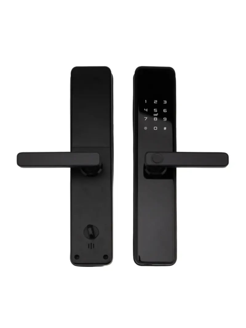 Smart Lock TTL-01 | Akylly gapy gulpy sanly açarsyz giriş