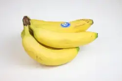 Exclusive Bananas for Wholesale