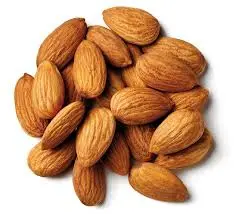 Premium Almonds for Wholesale