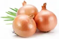Premium Select Onions for Wholesale