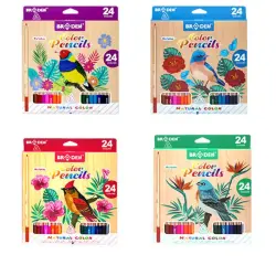 Braden BD-8021-24 | Colored Pencils 24 Colors Bulk Pack