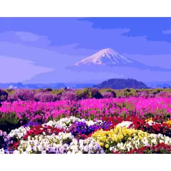 YS44540 BK-00100706 | Paint by Numbers Kit 40x50 cm Multicolored Flowers