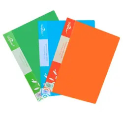 Dolphin 00-00000819 | Folder with Files 100 Sheets