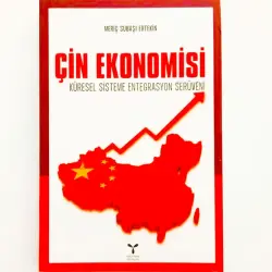 Meriç Subaşi BK-00098088 | Business Book China Economy Analysis