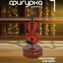 Skripka 2049 BK-00100852 | Violin Durable Build for Schools & Retail