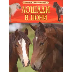 Children's Encyclopedia BK-00008099 | Children's Book Hardcover Horses and Ponies