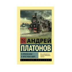 Platonov BK-00087559 | Book Classic Literature, Fast Delivery