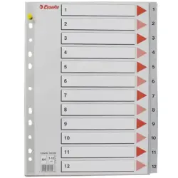 Esselte 00-00001130 | File Divider 1-12 Tabs A4 Multi-color