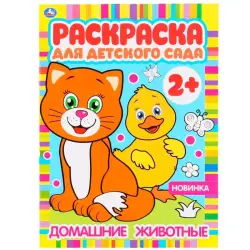 UMKA BK-00101523 | Coloring Book Preschool 2+ High-Quality Print