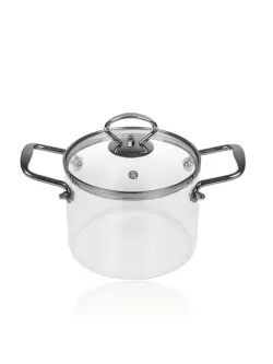 WZ WZ-15-KS-JR45 | Glass Cooking Pot with Iron Handles