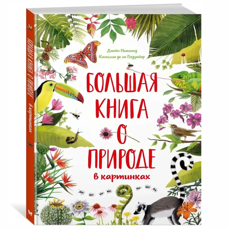 К. де ла Бедуайер BK-00097668 | Детская образовательная книга с иллюстрациями