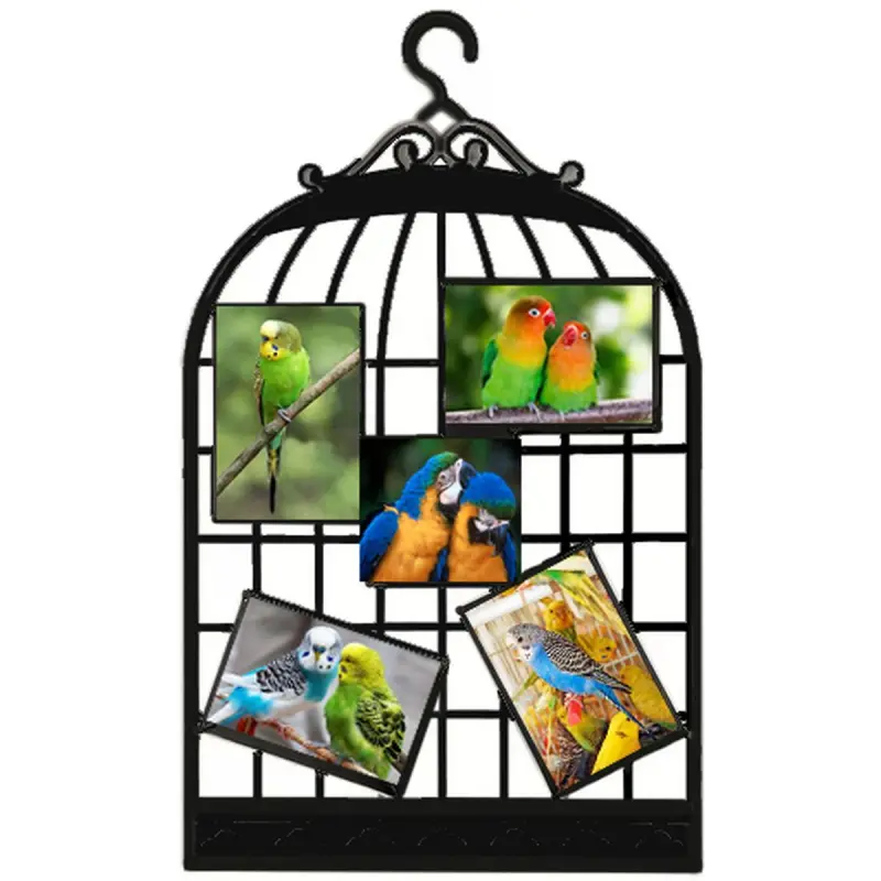 Markasyz BK-00080876 | Aile Surat Çarçuwasy Guş Kellesi Köp Suratlyk