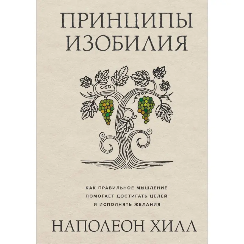 Principles of Abundance BK-00101806 | Business Book Russian Edition
