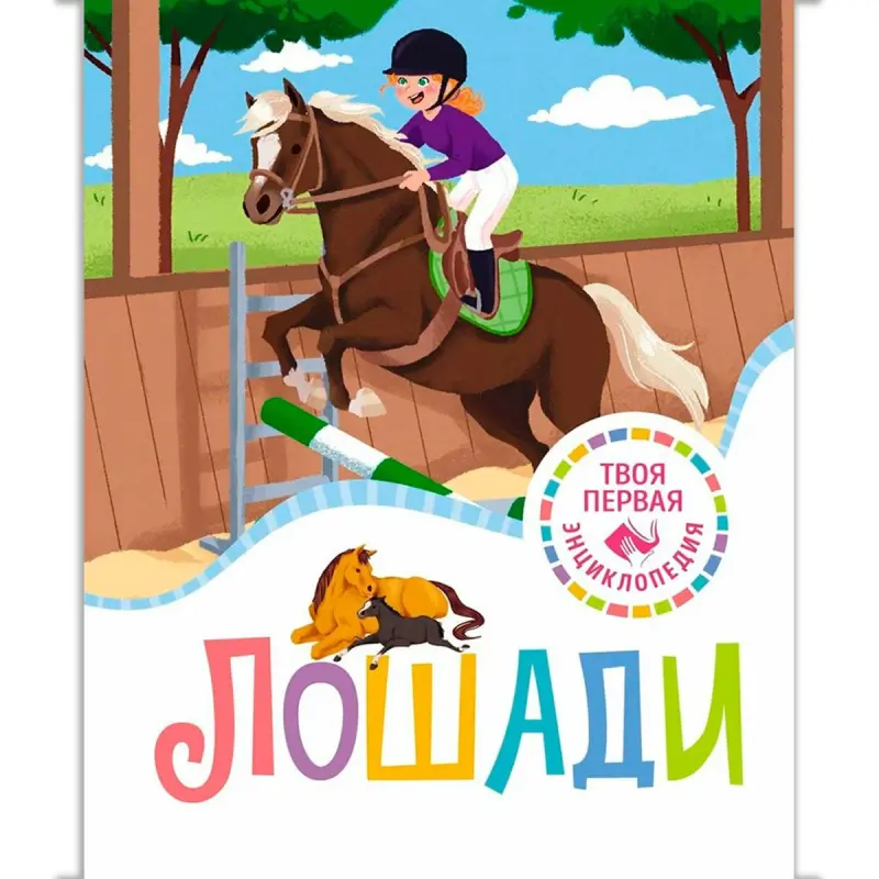Giyore M.-R. BK-00100329 | Horses Premium Breed Livestock