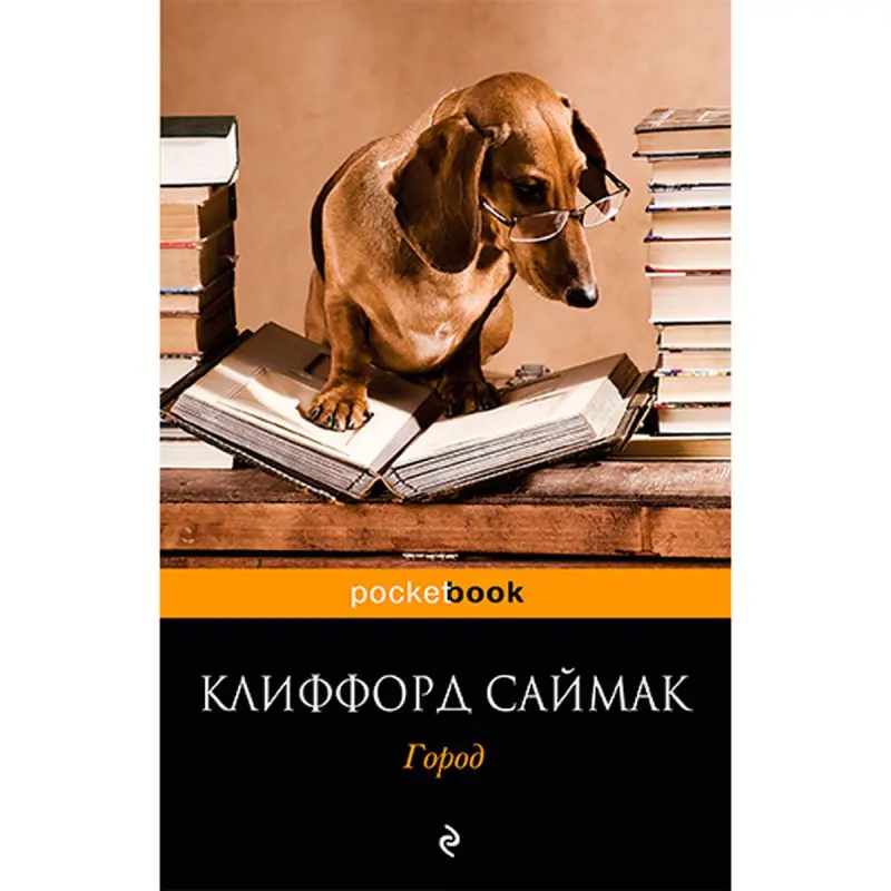 Saymak Clifford BK-00020913 | Şäher Infrastruktura Çözgüdi Çalt Eltip bermek