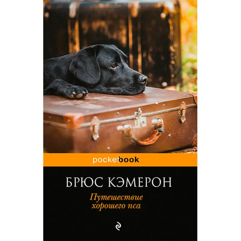 Кэмерон Брюс BK-00020878 | Книга Путешествие хорошего пса на русском языке