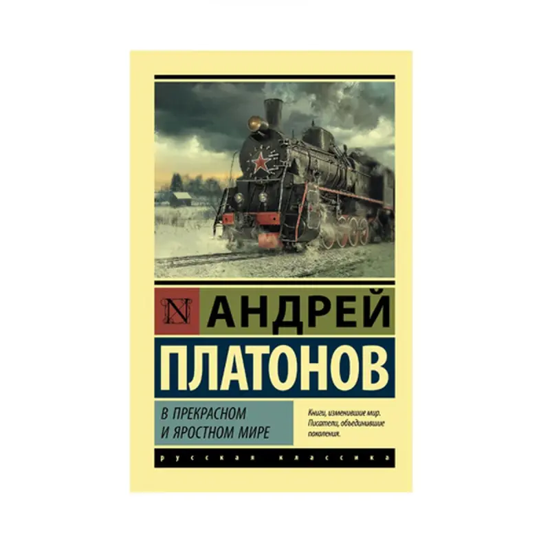 Platonov BK-00087559 | Book Classic Literature, Fast Delivery