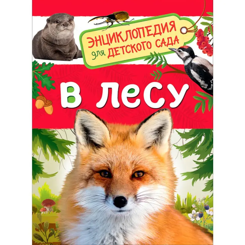 Клюшник Л. В. BK-00100273 | Children's Encyclopedia Russian Edition