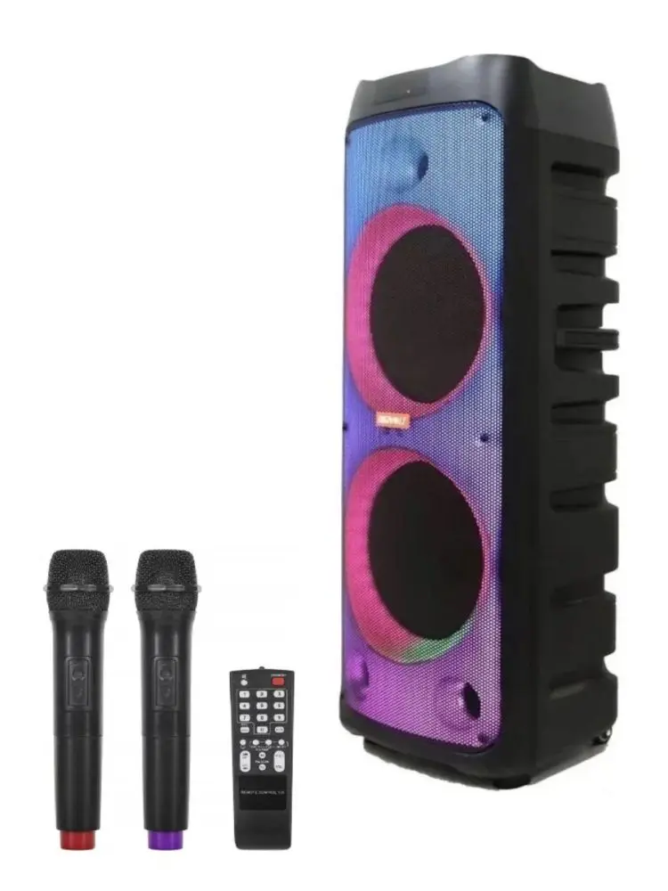 DIGIVOLT DG-1105 | Polýna goýulýan ses guraly 10000W 12" 2 mikrofon