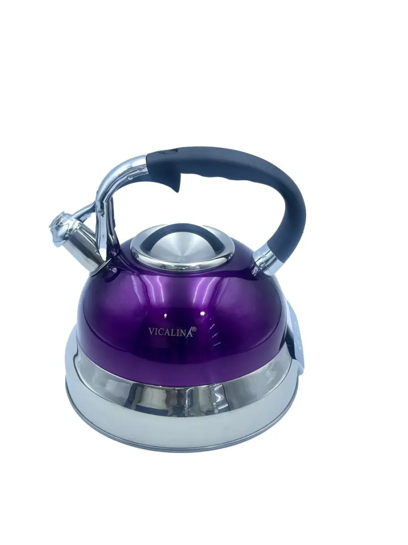 Vicalina VL-2006 | Whistling Kettle 6L Stainless Steel