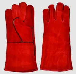 Kebşirleýji Ellikleri Gyza Garşy Deri