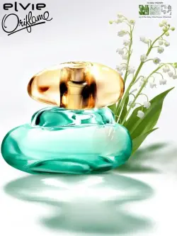 ORIFLAME 42502 | Aýal Parfyum ELVIE 50 ml