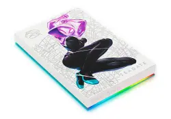 SEAGATE HDDESE2TBGS | Daşarky Gaty Disk 2TB USB 3.0