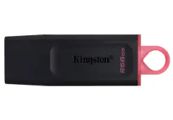 Kingston FLKI256GDTX | USB fleshka 256GB USB 3.2 Gen1