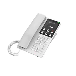 HP PAGHP620 | Wired IP Phone Color Screen
