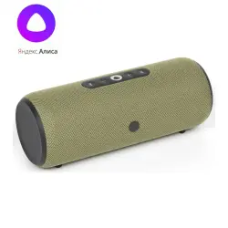 Yandex SPALSTRTGTREE | Portable Smart Speaker Outdoor Use