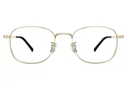 Xiaomi GLBLGGD | Gök Şöhleden Gorag Äýnekleri, Altyn Çarçuwa