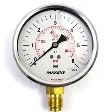 Pakkens 1601001106 | Manometer Ø160mm Glycerin-Filled 0/6 bar-psi